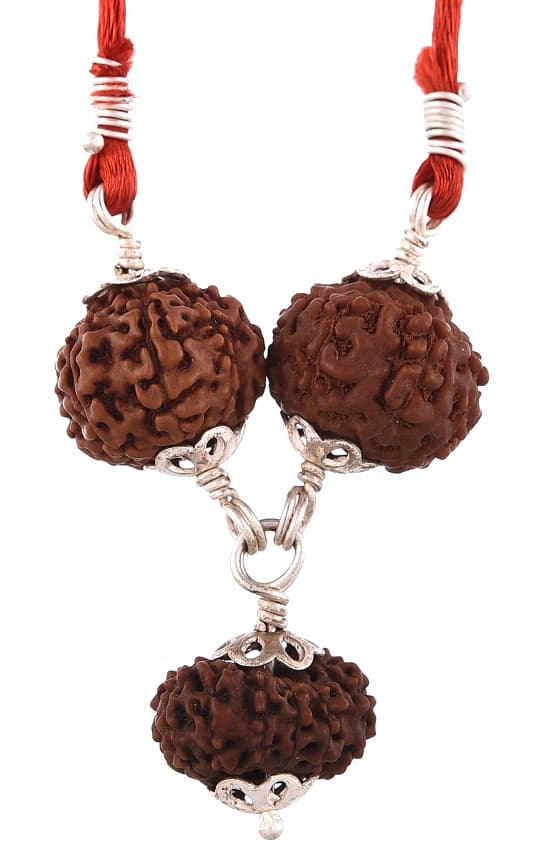 Amorfos® Certified Kaal Sarp Dosh Nivarak Rudraksha Combination of 8 Mukhi, 9 Mukhi and 10 Mukhi Rudrakash (Brown)