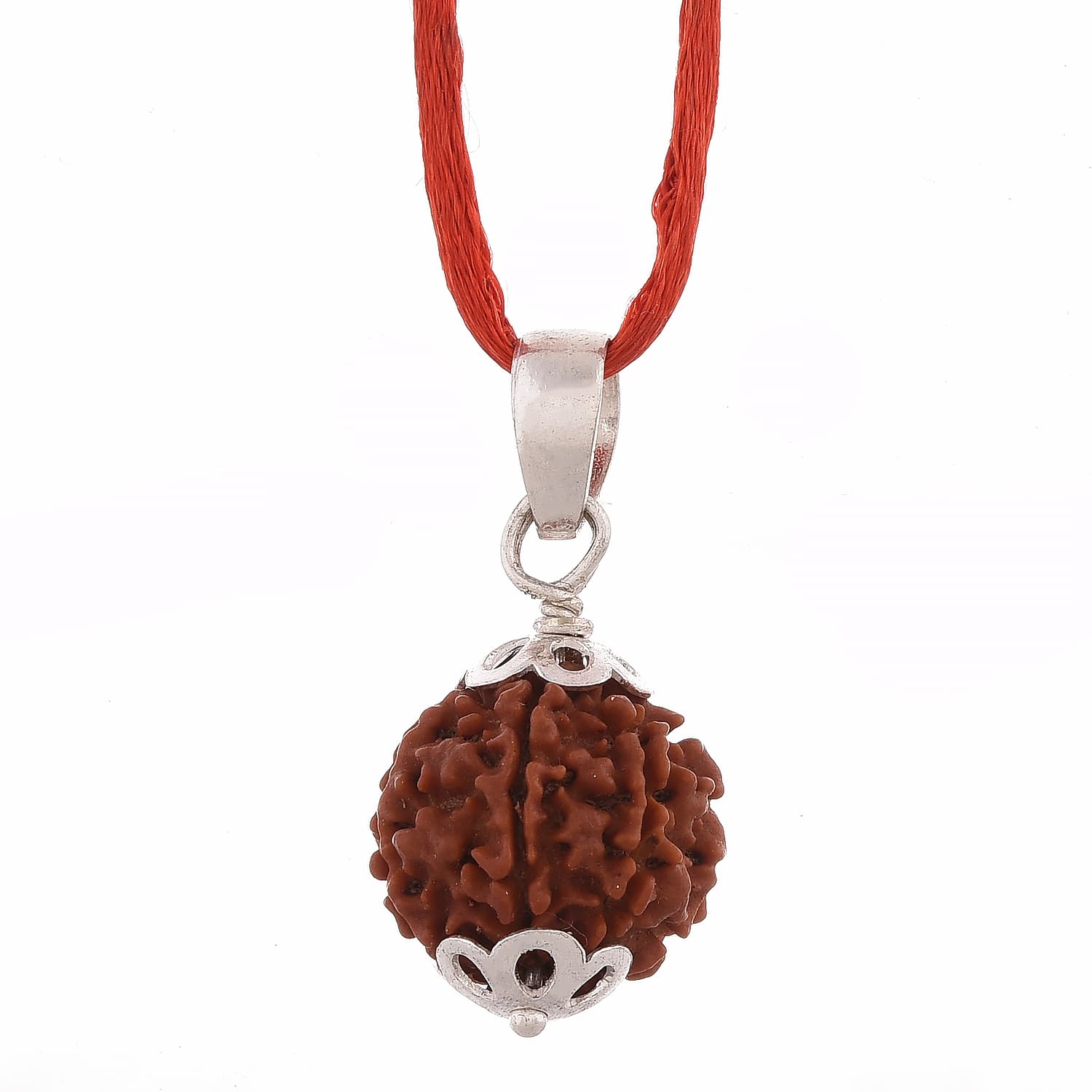 Amorfos® Certified 6 Mukhi Nepali Rudraksha Pendant, Nepal (Brown)